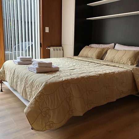 Apartament Rahue, Monoambiente Centrico Con Patio Propio San Martín de los Andes Zewnętrze zdjęcie