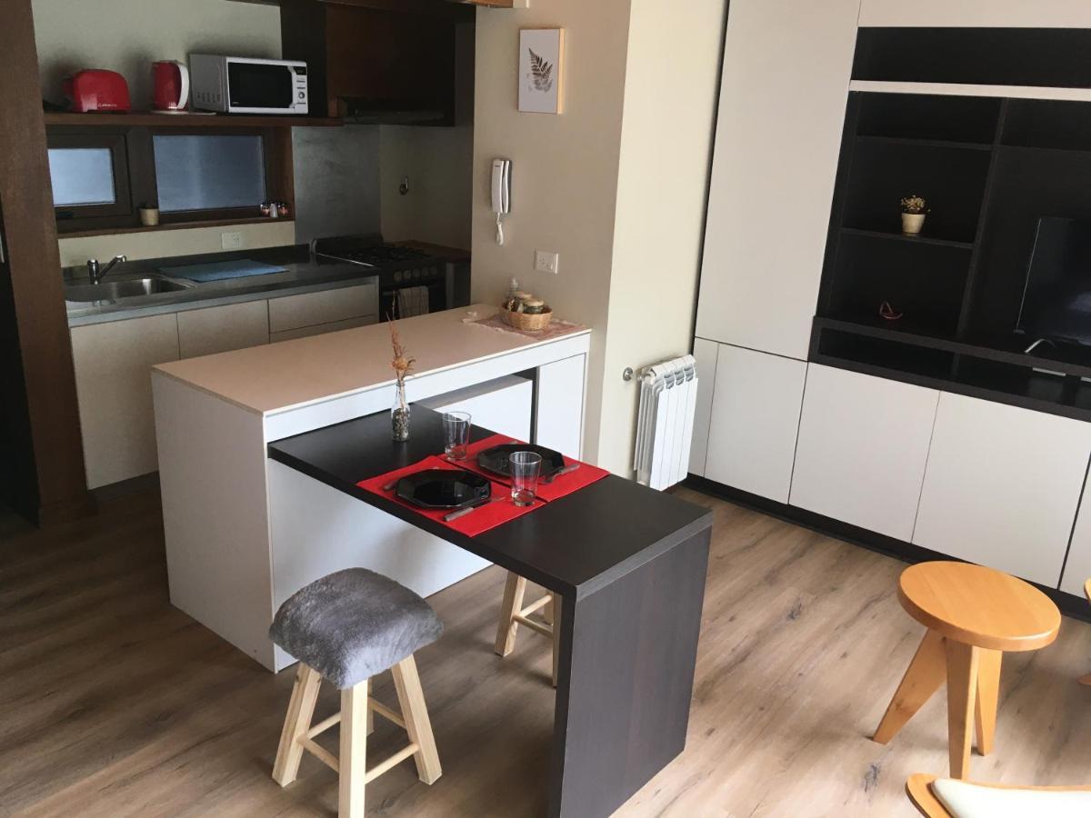 Apartament Rahue, Monoambiente Centrico Con Patio Propio San Martín de los Andes Zewnętrze zdjęcie