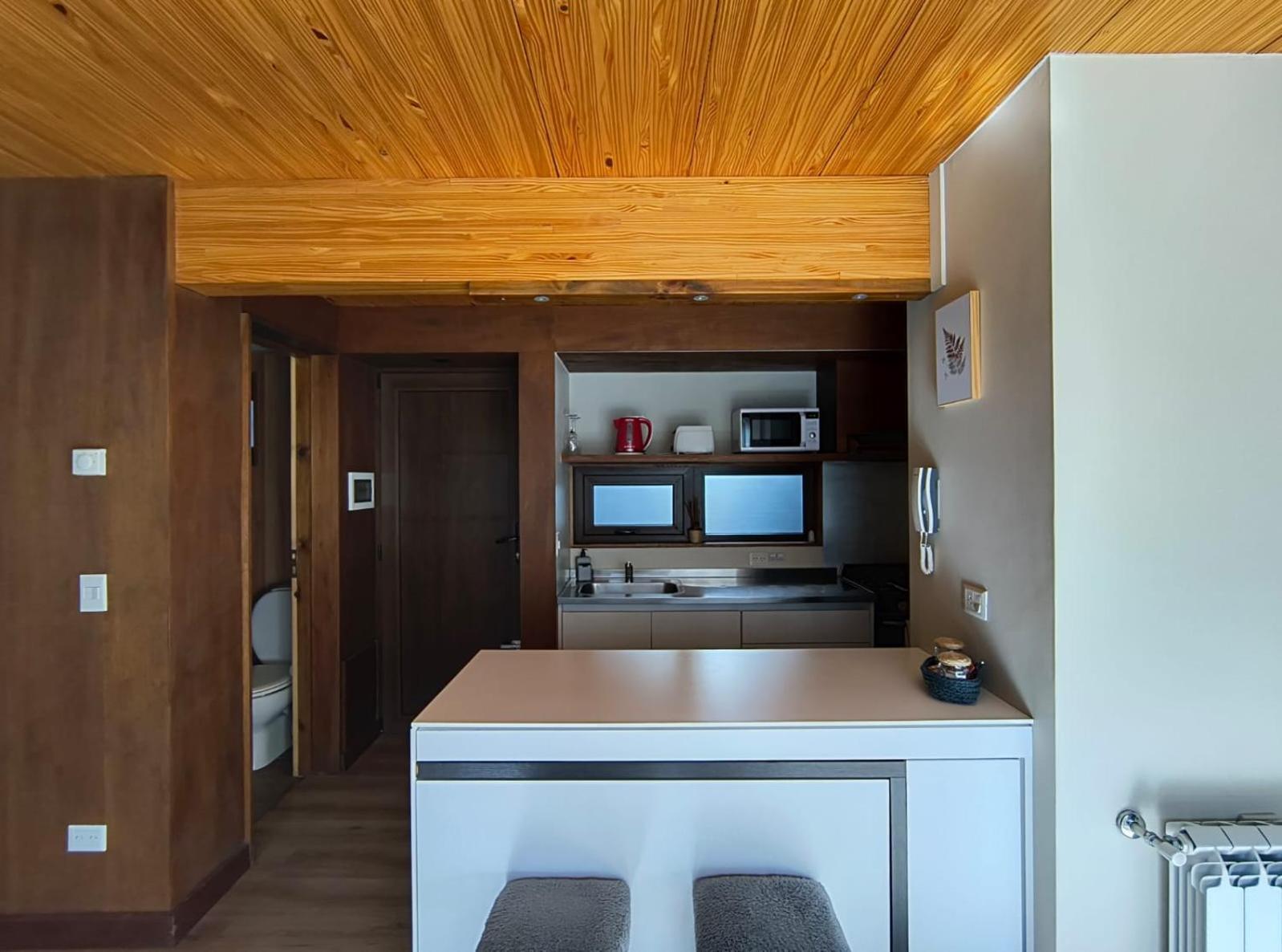 Apartament Rahue, Monoambiente Centrico Con Patio Propio San Martín de los Andes Zewnętrze zdjęcie