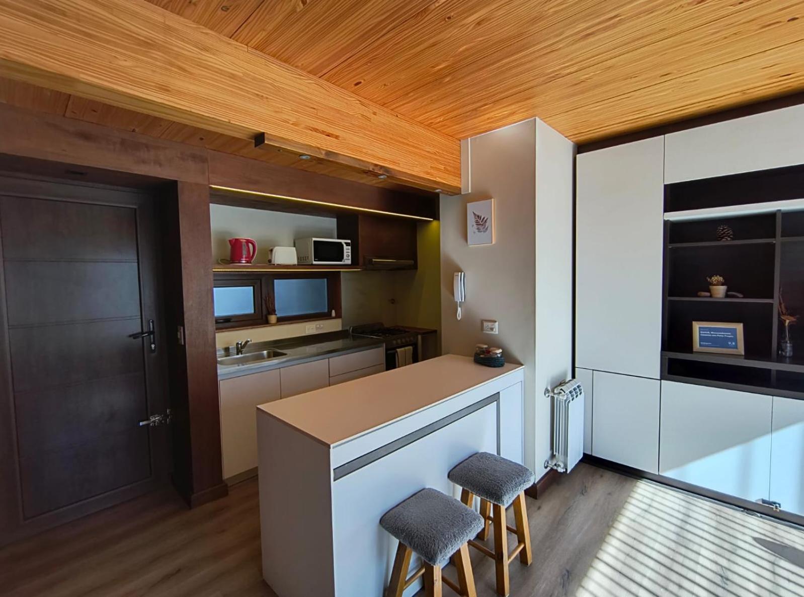 Apartament Rahue, Monoambiente Centrico Con Patio Propio San Martín de los Andes Zewnętrze zdjęcie